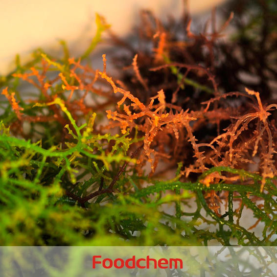 Carrageenan Foodgel1100 suppliers